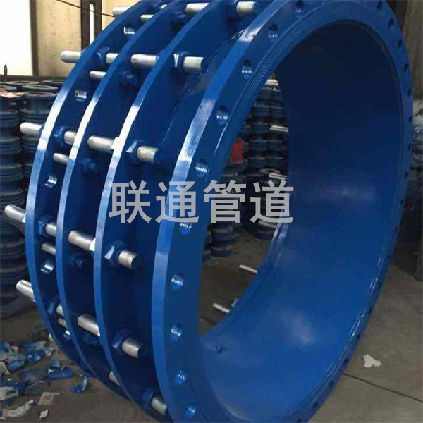 ���ɹ������s���^