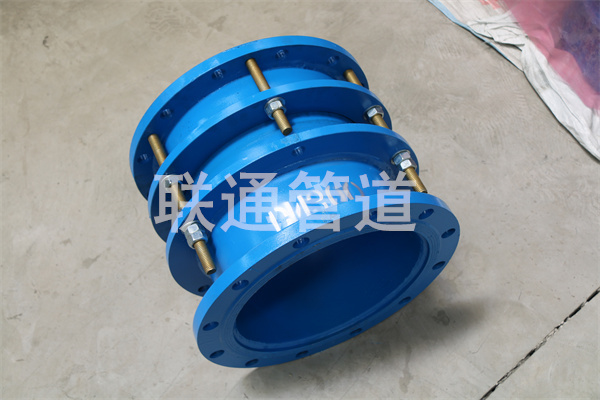 �Lɳ�����s���^